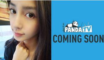 熊猫tv明星,璀璨星光下的璀璨人生