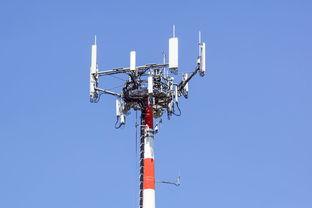 wsy是哪个明星,当红明星wsy的星光历程与魅力风采