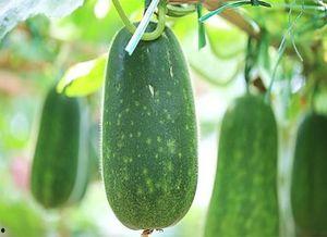 睡觉错过吃瓜,如何弥补精彩瞬间？