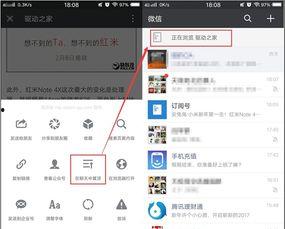 头条文章置顶在哪